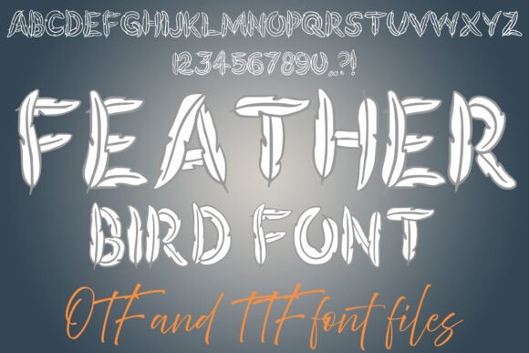 Feather Bird Font for Web Design