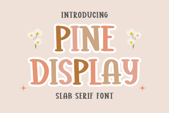 Pine Display Font for Web Design